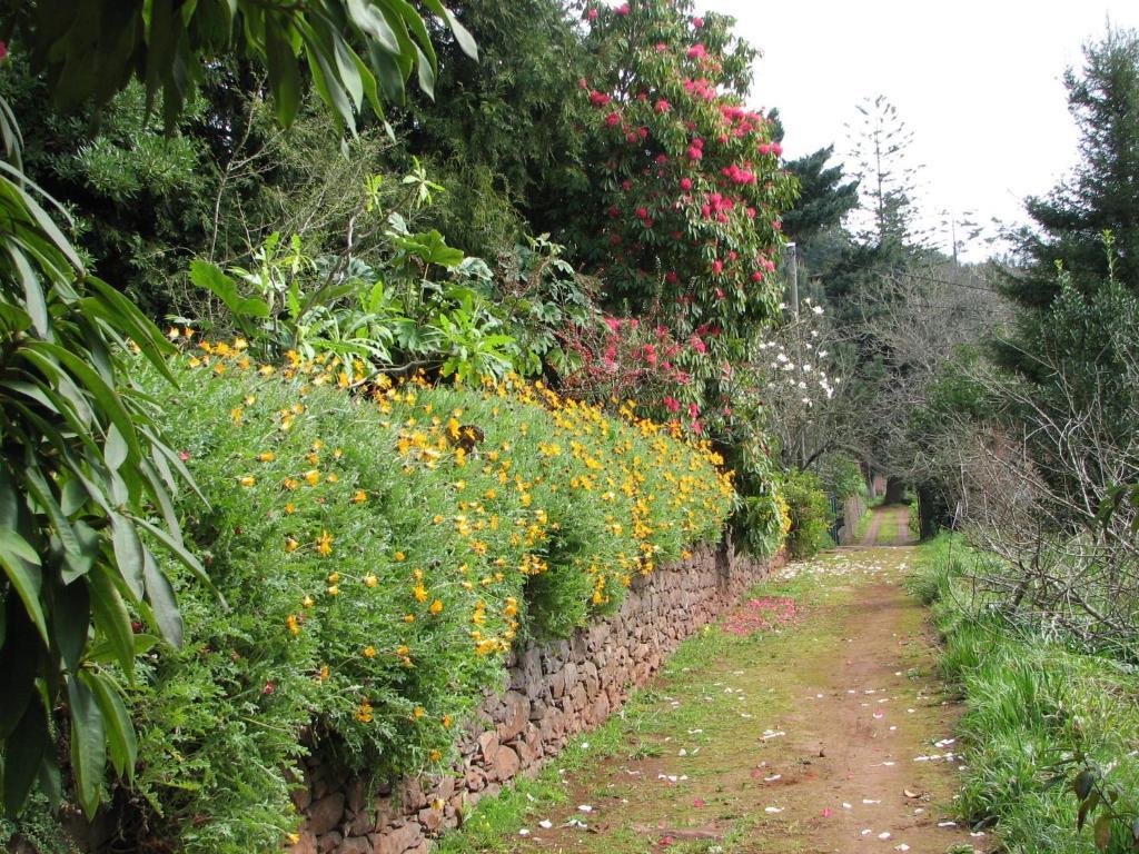 Camacha  Valle Paraizo المظهر الخارجي الصورة